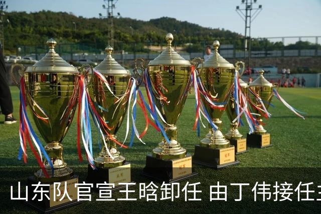 山东队官宣王晗卸任 由丁伟接任主教练一职